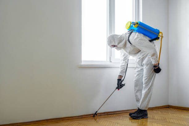 Best Residential Pest Control  in Rumson, NJ